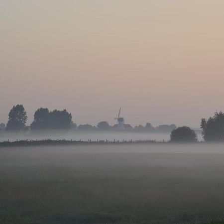 Oversteekhof Roesbrugge-Haringe Zewnętrze zdjęcie