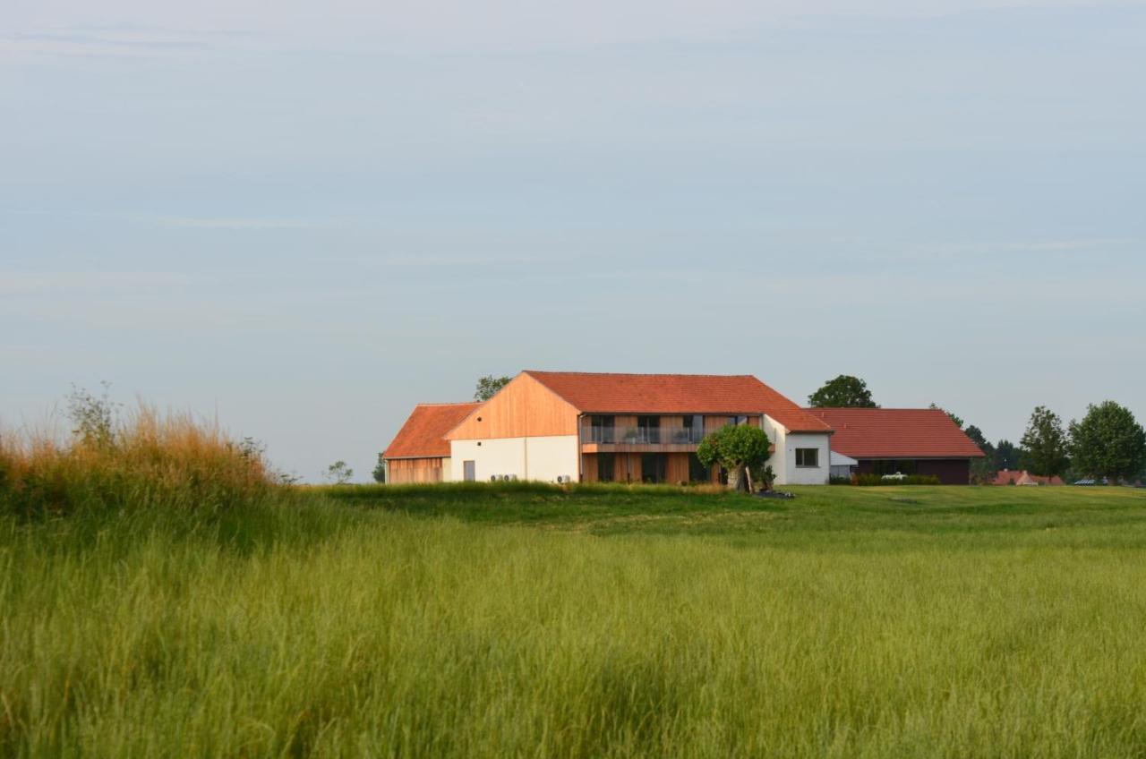 Oversteekhof Roesbrugge-Haringe Zewnętrze zdjęcie