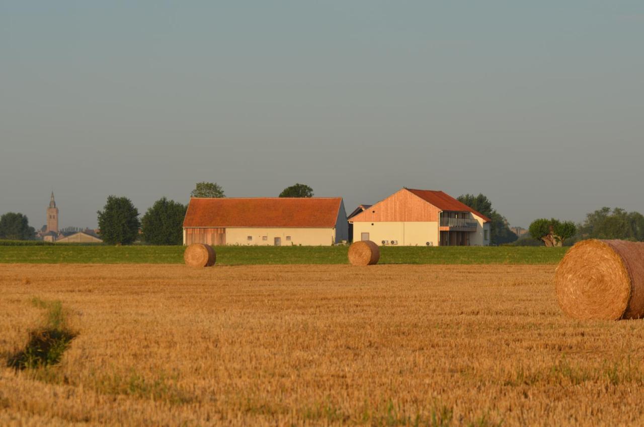 Oversteekhof Roesbrugge-Haringe Zewnętrze zdjęcie