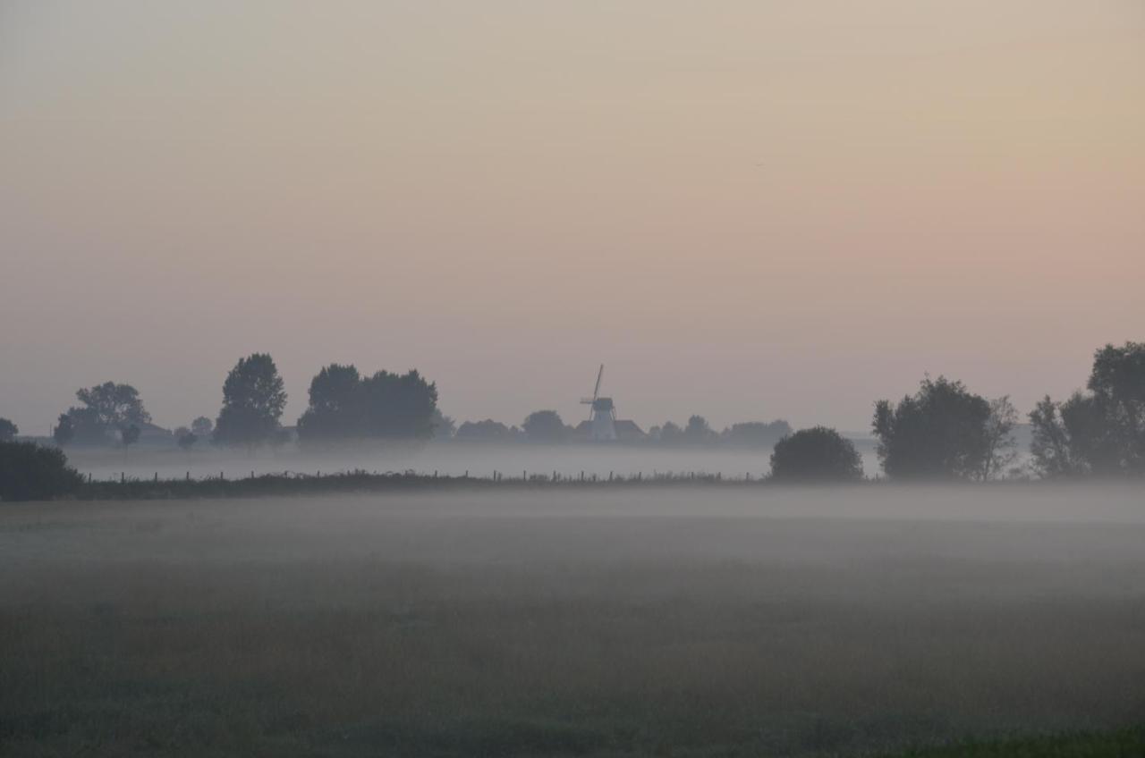 Oversteekhof Roesbrugge-Haringe Zewnętrze zdjęcie